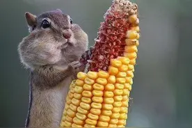 搞笑的错位视角，看一眼就把我吓住了！图片