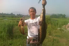 不是每个路亚人都有打黑的梦想，路亚黑鱼图片