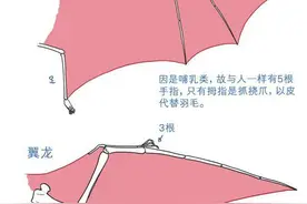 SAI绘画需要图片