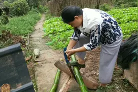 竹筒饭的正确做法，搭配这几样食材，香气四溢味道好视频封面