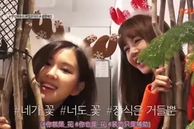 blackpink LISA 彩英跳舞 IKON 取向狙击 音乐一出耳朵怀孕了