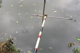 中秋DIY工具钓得黄鳝几条，收获满满的图片