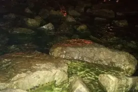 中秋前夜钓螃蟹，一会就是一小桶！这个中秋有蟹吃啦图片