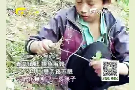 吃野菜的杨六斤感动了亿万中国人，看过都流泪了！视频封面