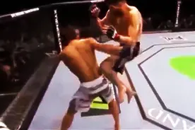 擂台高手们身怀一击必杀的格斗技，无情的KO对手图片