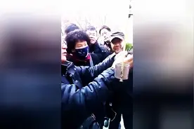 这只鹦鹉成精了，和主人对答如流，还会讲英文图片