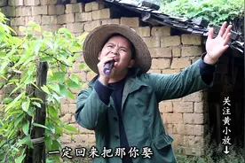 农村小伙一首情歌唱出了单身一族的心声，太好听了视频封面