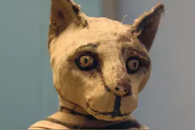 古埃及人崇拜猫神，于是喵星人被制成了木乃伊图片