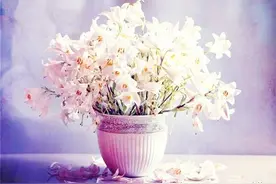 人生感悟：说了再见，也许再也不会见。图片