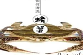 轻松搞定海鲜的清洗方法，只需学会这几招，你学会了吗？图片