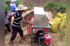 实拍，山区农村打稻脱粒，苦不苦只有当过农民才体会到！图片