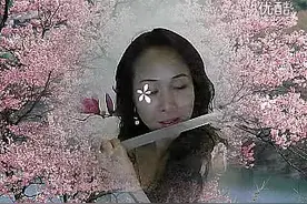 《葬花吟》葫芦丝笛子合奏 听得人心神俱碎图片