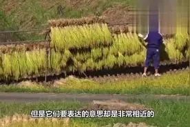 农村俗语：“男人手大掌官印，女人手大长寿命”，是这样吗？视频封面