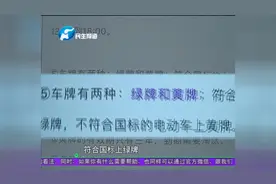 郑州电动车上牌已实施一周 黄牌绿牌有何不同？