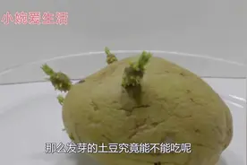 土豆发了一点芽究竟能不能吃？很多人都做错了，今天总算明白了视频封面