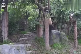 妈妈，你知道什么是duangduangduang吗