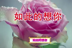 贺燕新歌《如此的想你》心心念念都是你，在每个无眠的夜里视频封面
