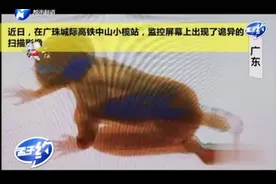 广东高铁安检机里，一身影吓坏安检员：太诡异！以为是“外星人”视频封面