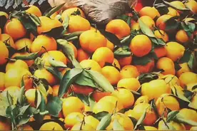 西安回民街半日游～逛了西仓的菜市，吃了志亮蒸饺，满足～[呲牙]视频封面