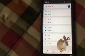 这款软件，让你的手机屏幕出现一只活泼可爱的小兔子