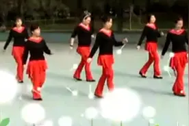 广场舞《花蝴蝶》图片