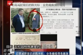 切胃减肥背后的陈光标：业务瘫痪债务缠身