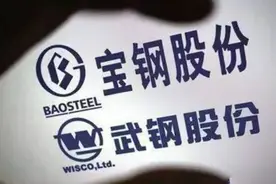 宝钢吸收合并武钢开启行业整合大幕  下一个钢铁巨头是谁？视频封面
