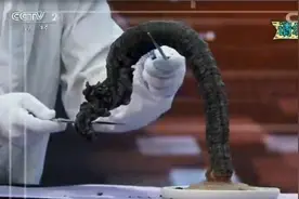 糖和小苏打燃烧会变成蛇形，是真的吗？太吃惊了视频封面