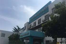 进山打板栗 女子遇人头蜂袭击丧生图片