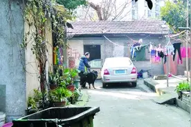 武汉无证藏獒蹿入人群吓坏众人 主人飞速将狗扑倒图片