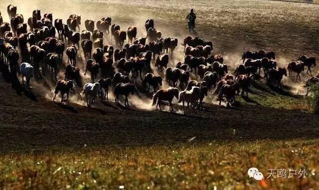 国庆节去草原天路、木兰围场怕堵,郑州自驾游可以这样走