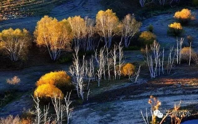 国庆节去草原天路、木兰围场怕堵,郑州自驾游可以这样走