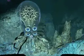 峻晨解说-美丽水世界#43-潜入深海寻找物资！用生命发展科技