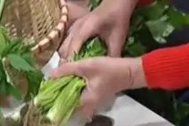 香菜买回来变干变蔫？别急，只要这样，香菜不再变“臭菜”！视频封面