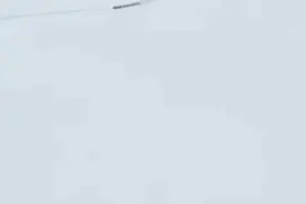 大雪天小短腿柯基的散步路，一个大写的心疼！图片