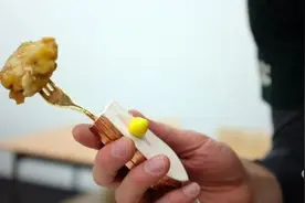 不用给自己带盐了！电力叉子能让食物变咸图片