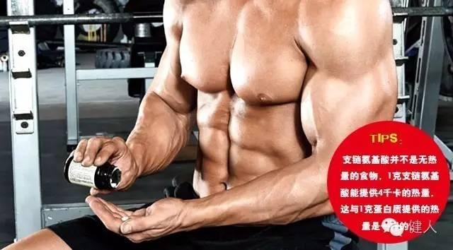 支链氨基酸真相：它的本事到底有多大？