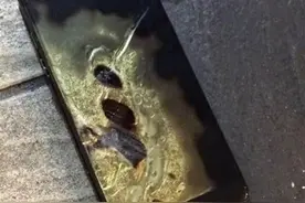 三星Note7台湾首炸 女用户差点屁股开花图片