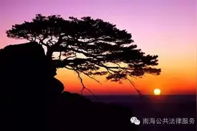 这位百岁老人的苦恼，竟让南海公证处解决了！图片