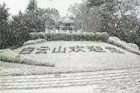 寒假到了，这些恐龙有关的电影、绘本送给资源荒的宝妈们图片