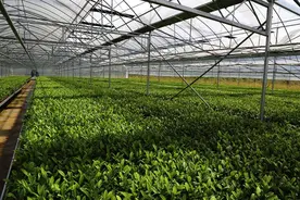 陕西信合2015年履行社会责任报告图片