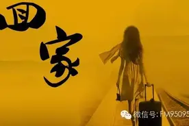 过年了，让思念先回家图片