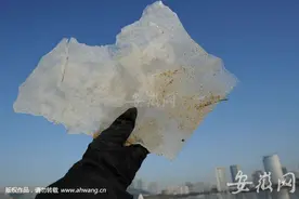 合肥天鹅湖罕见冰封 有游客在冰面上玩溜冰（图）图片