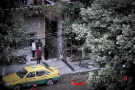 等了百年终于遇见你 东莞昨日降下史上第四场雪图片