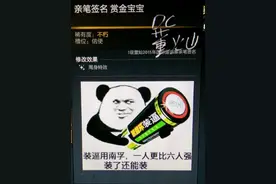 DOTA2饰品描述BUG 自定义图片装X大法get图片