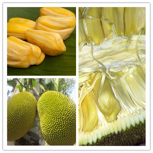 多图 | 50种常见水果的英语说法,瞬间流口水!