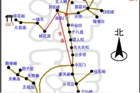 电影推荐:《泰山归来：险战丛林》图片
