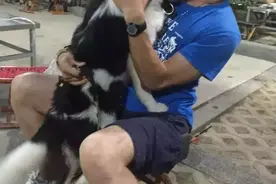 电影推荐:《麦兜·饭宝奇兵》图片