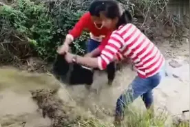 实拍：柬埔寨姐妹花舀水捕鱼，妹妹比姐姐会抓鱼图片