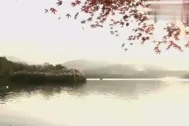 古琴演奏周杰伦《烟花易冷》——古琴札记图片
